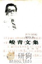 峻青文集  第4卷  散文   1994  PDF电子版封面  7543416905  峻青著 