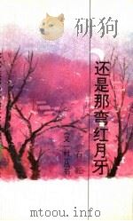 还是那弯红月牙 1993 PDF电子版封面 7541931020 石匠著