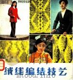 绒线编结技艺   1983  PDF电子版封面  15096·53  杨秀丽编著 