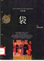 时装局部精做 袋 1997 PDF电子版封面 7805119341 刘咏梅著