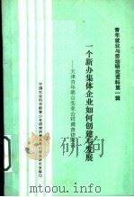 一个新办集体企业如何创建与发展：天津青年联合实业公司调查访部记     PDF电子版封面    中国社会科学院青少年研究所青年劳动就业研究室编 