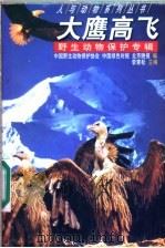 大鹰高飞   1999  PDF电子版封面  7801540158  李青松主编；中国野生动物保护协会，中国绿色时报，北京晚报编 