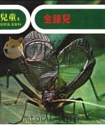 儿童自然生活百科 8 可爱的蟋蟀:金钟儿 1979 PDF电子版封面 地球出版社编译小组编译