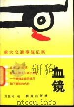血镜 重大交通事故纪实 1992 PDF电子版封面 7501407541 周胜岭编
