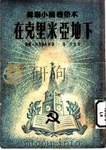 苏联小说通俗本  在克里米亚地下（ PDF版）