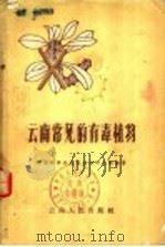 云南常见的有毒植物 1961 PDF电子版封面 13116·33 中国科学院昆明植物研究所编著