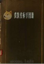 皮肤性病学图谱 1959 PDF电子版封面 14100·84 南京第一医学院皮肤性病学教研组编著