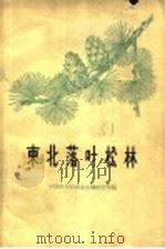 东北落叶松林 1962 PDF电子版封面 16144·1277 中国科学院林业土壤研究所编