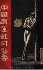 中国青年往何处去 1926 PDF电子版封面 胡天蓝著