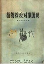 植物检疫对象图说（1959 PDF版）