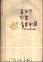 森林学中的几个问题 1958 PDF电子版封面 16046·356 (苏)柯尔比柯夫(М.В.Колпиков编;郑世铠,刘鸿谔