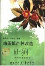 油茶低产林改造 1989 PDF电子版封面 7503804394 陈秀华,许汝佳编著