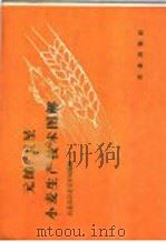 元帅·卫星小麦生产技术图解（1958 PDF版）