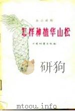 怎样种植华山松 1959 PDF电子版封面 16046·593 孙志武编