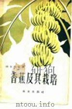 香蕉及其栽培（1960 PDF版）