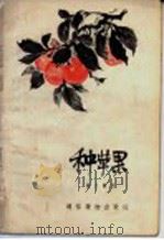 种苹果 1957 PDF电子版封面 T16008·46 杨文衡著