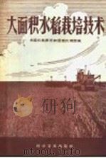 大面积水稻栽培技术 1958 PDF电子版封面 16051·40 全国农业展览会国营农场馆编