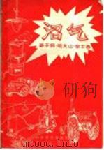 沼气 1958 PDF电子版封面 15051·222 姜子钢等编著