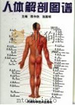 人体解剖图谱 第2版 1999 PDF电子版封面 7530810065 陈仲欣,张殿明主编