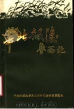 华北敌后:鲁西北 纪念抗日战争胜利四十周年专辑 下 PDF电子版封面