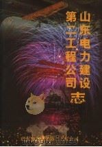 山东电力建设第二工程公司志 1952.7-2002.6 PDF电子版封面 山东电力建设第二工程公司志编辑委员会
