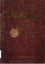 山东省计算中心志 1976-1995 PDF电子版封面 山东省计算中心编