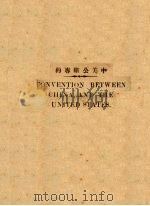 中美公断专约 PDF电子版封面