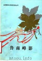 鲁南峰影  下   1989  PDF电子版封面  7532902625  中共枣庄市委党史办公室，枣庄市出版办公室编 