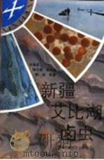 新疆艾比湖卤虫 1992 PDF电子版封面 753720392X 任慕莲,杨文荣,姜作发,郭焱等著