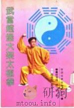 武当赵堡大架太极拳   1995  PDF电子版封面  753692397X  赵增福，赵超著 