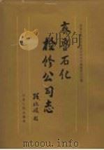 齐鲁石化检修公司志  1985-1993（1994 PDF版）