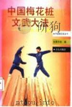 中国梅花桩文武大法 中华武术之魂 1998 PDF电子版封面 7543615568 燕子杰著