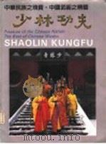 少林功夫 1995 PDF电子版封面 7800241963 邢雁主编