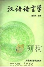 汉语语言学 1995 PDF电子版封面 7561903219 钱乃荣主编