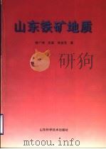 山东铁矿地质（1998 PDF版）