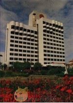 枣庄年鉴  1995   1995  PDF电子版封面  7533305035  枣庄市地方史志编纂委员会办公室编 