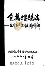 自热熔炼法:在重有色金属生产中运用 PDF电子版封面 北京有色冶金设计研究总院
