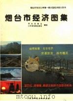 烟台市经济图集   1995  PDF电子版封面  7805321841  烟台日报社，山东省地图出版社编制 
