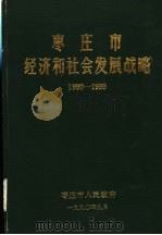 枣庄市经济和社会发展战略  1990-1999（1990 PDF版）