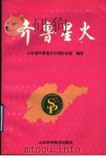 齐鲁星火 1994 PDF电子版封面 7533114477 山东省科委星火计划办公室编著