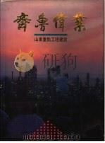 齐鲁伟业 山东重点工程建设 1949-1990 1991 PDF电子版封面 7533004485 山东省城乡建设委员会,山东画报社编