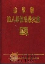 山东省法人单位名录大全 第1册 1997 PDF电子版封面 山东省第一次基本单位普查办公室