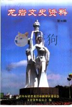 龙岩文史资料  第31辑（ PDF版）