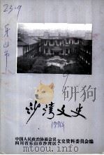 沙湾文史  第9期     PDF电子版封面    中国人民政治协商会议四川省乐山市沙湾区委员会文史资料委员会编 