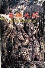 梁平文史资料 第8辑 古镇大观 PDF电子版封面 梁平县政协文史委员会,梁平县大观镇人民政府编
