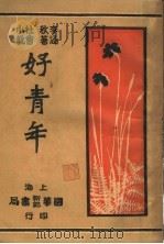 社会小说  好青年  第4集  第十二回（ PDF版）