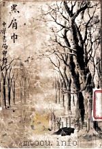 黑肩巾 上 1917 PDF电子版封面 天游译