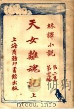 天女离魂记 第2集 第22编 上 1914 PDF电子版封面 (英)哈葛德