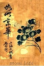 社会小说  如此京华  上（1927 PDF版）