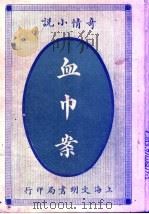 奇情小说  血巾案   1915  PDF电子版封面    宋紫瑚著 